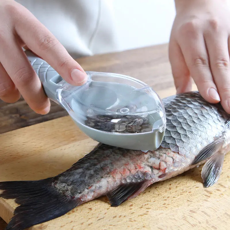 Fish Skin Brush Scraping Cato Collection