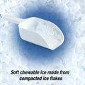 Portable Countertop Ice Maker for Soft Nugget Ice at Home Doba